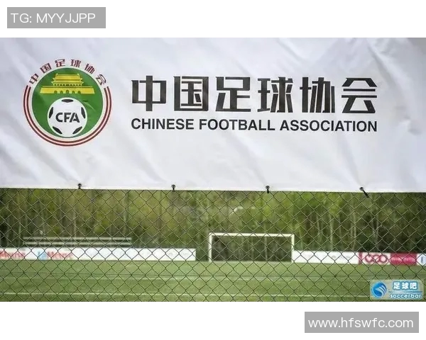 足球中超联赛票价：中超联赛各大球场的票价与购票指南